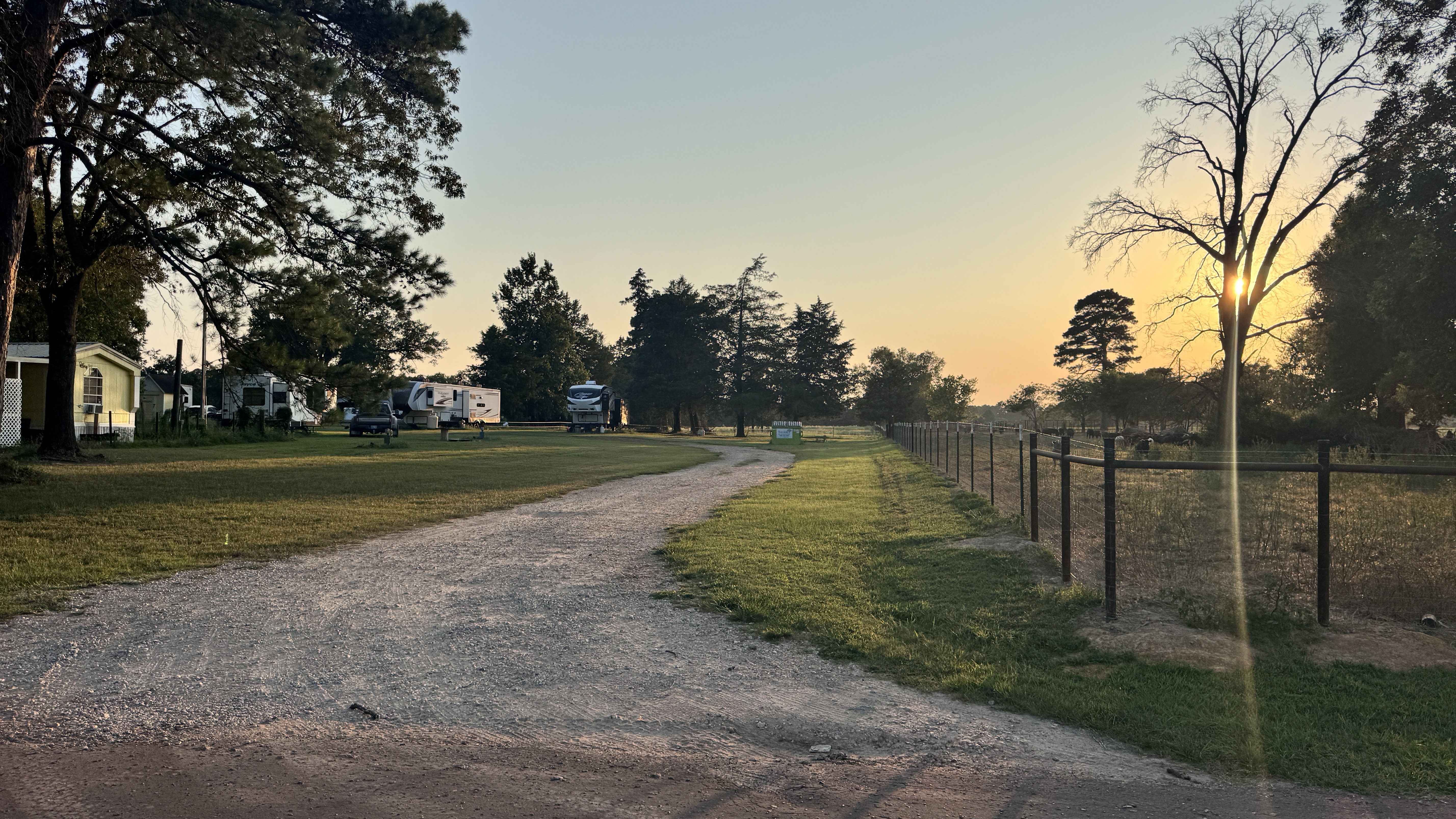Wide view of Ancient Oak Resort RV park with tree cover overhead and spaced-out RV sites